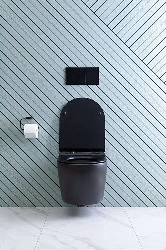 Унитаз подвесной Aquanet Rimless Cetus-BW BL-102N-WHT CETUS-BW с сиденьем Унитаз подвесной Aquanet Rimless Cetus-BW BL-102N-WHT CETUS-BW с сиденьем