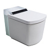 Унитаз SMART Orans IT-803JAD 803JAD0 с сиденьем