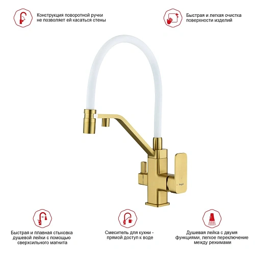 Смеситель для кухни Raglo R85.62.03 с гибким изливом с подключением к фильтру, золотой сатин Смеситель для кухни Raglo R85.62.03 с гибким изливом с подключением к фильтру, золотой сатин