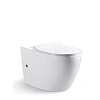 Унитаз напольный Bravat Gina CX01008UW-PA-ENG