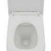 Унитаз подвесной AQUAme AQM2004 с сиденьем SoftClose, технология смыва Rimless, скрытый крепеж 490x3 Унитаз подвесной AQUAme AQM2004 с сиденьем SoftClose, технология смыва Rimless, скрытый крепеж 490x3