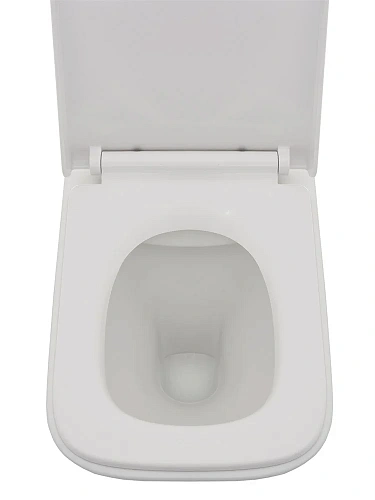 Унитаз подвесной AQUAme AQM2004 с сиденьем SoftClose, технология смыва Rimless, скрытый крепеж 490x3 Унитаз подвесной AQUAme AQM2004 с сиденьем SoftClose, технология смыва Rimless, скрытый крепеж 490x3