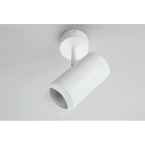 Светильник настенно-потолочный Omnilux Maratea OML-102609-20 Светильник настенно-потолочный Omnilux Maratea OML-102609-20