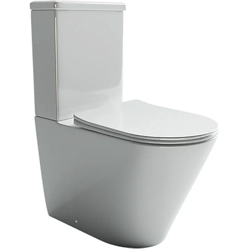 Чаша напольного унитаза Ceramica Nova HIGHLIGHT Rimless CN1802-B белый с сиденьем Чаша напольного унитаза Ceramica Nova HIGHLIGHT Rimless CN1802-B белый с сиденьем