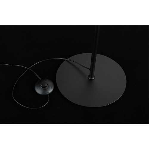 Торшер Aployt Jagna APL.312.05.04 Торшер Aployt Jagna APL.312.05.04