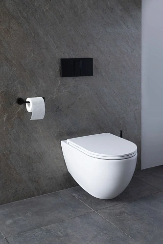 Комплект унитаза Allen Brau Reality 4.32006.20/8.9466.0.000.000.1 (00316510) с инсталляцией, белый глянец Комплект унитаза Allen Brau Reality 4.32006.20/8.9466.0.000.000.1 (00316510) с инсталляцией, белый глянец