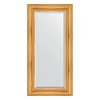 Зеркало в багетной раме Evoform Exclusive BY 3496 59 x 119 см, травленое золото Зеркало в багетной раме Evoform Exclusive BY 3496 59 x 119 см, травленое золото