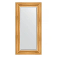 Зеркало в багетной раме Evoform Exclusive BY 3496 59 x 119 см, травленое золото Зеркало в багетной раме Evoform Exclusive BY 3496 59 x 119 см, травленое золото