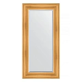 Зеркало в багетной раме Evoform Exclusive BY 3496 59 x 119 см, травленое золото Зеркало в багетной раме Evoform Exclusive BY 3496 59 x 119 см, травленое золото
