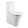 Унитаз напольный Teso azaro Correa TA2149 безободковый OpenRim®, Крышка-сиденье