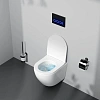 Унитаз подвесной AM.PM Like C801901SC AquaSpin 2.0 с сиденьем микролифт Унитаз подвесной AM.PM Like C801901SC AquaSpin 2.0 с сиденьем микролифт