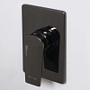 Смеситель для душа WasserKRAFT Glan 6651 черный Смеситель для душа WasserKRAFT Glan 6651 черный
