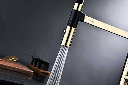 Смеситель для кухни Paulmark Leader золото Le214101-G Смеситель для кухни Paulmark Leader золото Le214101-G