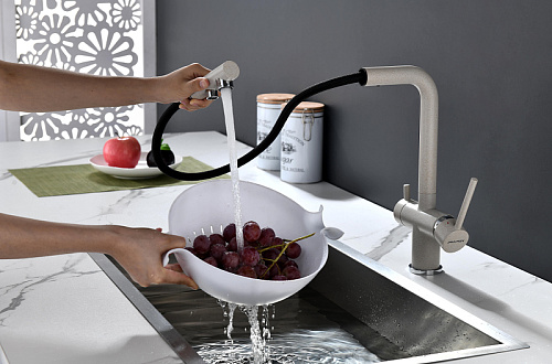 Смеситель для кухни Paulmark SERPENTINE бежевый Se213222-BE Смеситель для кухни Paulmark SERPENTINE бежевый Se213222-BE