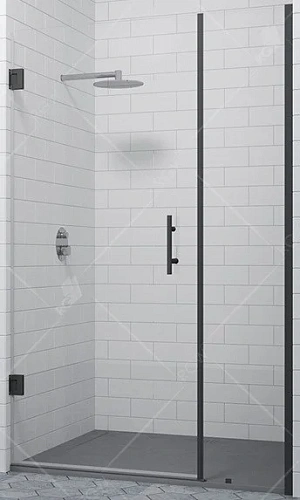 Душевая дверь RGW Hotel HO-012B 350601200-34 Душевая дверь RGW Hotel HO-012B 350601200-34