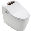 Унитаз SMART Timo ТЕ-731 (680x400x560) напольный с функцией биде Унитаз SMART Timo ТЕ-731 (680x400x560) напольный с функцией биде
