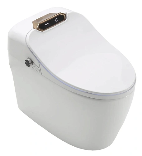 Унитаз SMART Timo ТЕ-731 (680x400x560) напольный с функцией биде Унитаз SMART Timo ТЕ-731 (680x400x560) напольный с функцией биде