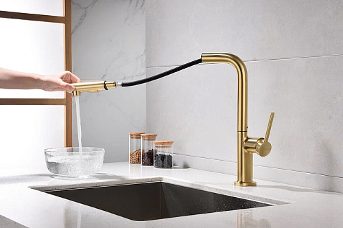 Смеситель для кухни Paulmark Neo брашированное золото Ne214419-BG Смеситель для кухни Paulmark Neo брашированное золото Ne214419-BG