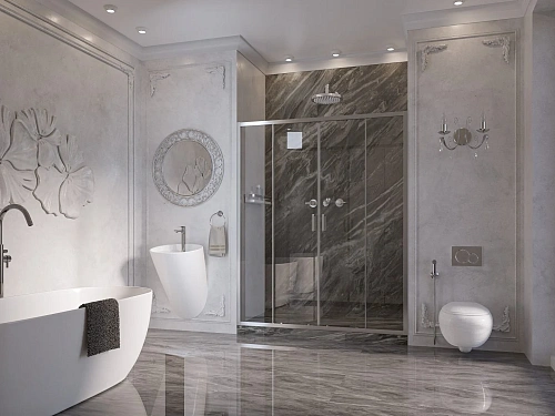 Душевая дверь Ambassador Forsa 17021110AX (1500x2000) Душевая дверь Ambassador Forsa 17021110AX (1500x2000)