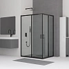 Душевой уголок RGW CL-44B 900x1200 мм 32094492-14 черный Easy Clean