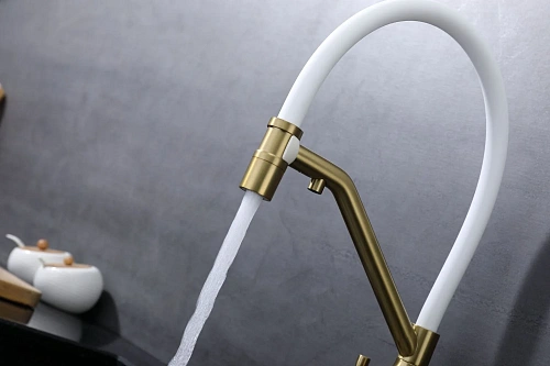 Смеситель для кухни Raglo R81.62.03 с гибким изливом с подключением к фильтру, золотой сатин Смеситель для кухни Raglo R81.62.03 с гибким изливом с подключением к фильтру, золотой сатин