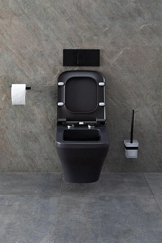 Унитаз подвесной Allen Brau Infinity 4.21011.AN с крышкой, антрацит Унитаз подвесной Allen Brau Infinity 4.21011.AN с крышкой, антрацит