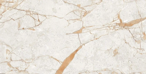 Керамогранит Neodom Ambassador Rosalia Glossy 60x120 CV20196 Керамогранит Neodom Ambassador Rosalia Glossy 60x120 CV20196