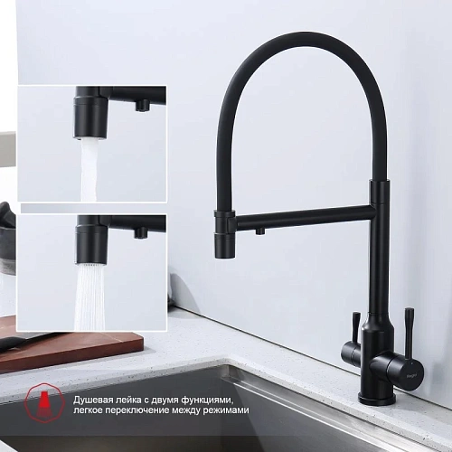 Смеситель для кухни Raglo R81.63.06 с гибким изливом с подключением к фильтру, черный Смеситель для кухни Raglo R81.63.06 с гибким изливом с подключением к фильтру, черный