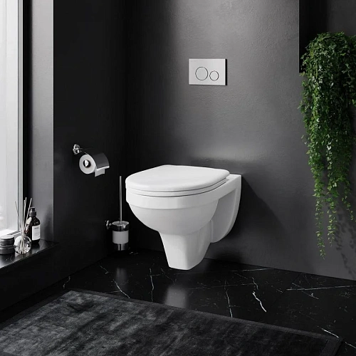 Унитаз подвесной Damixa Jupiter DX77C1738SC с сиденьем микролифт Унитаз подвесной Damixa Jupiter DX77C1738SC с сиденьем микролифт