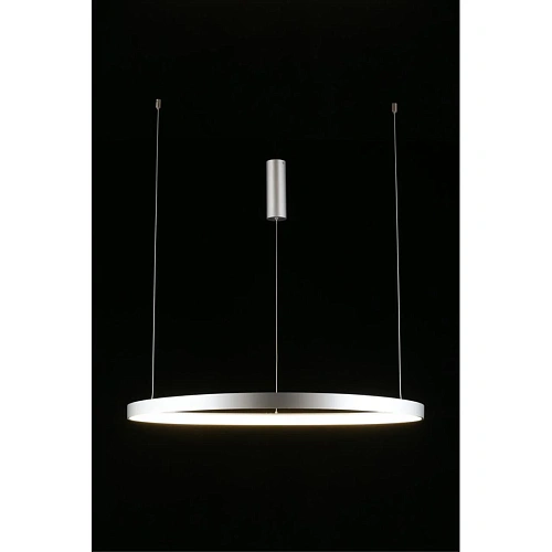 Люстра подвесная Aployt Zula APL.022.13.60 Люстра подвесная Aployt Zula APL.022.13.60