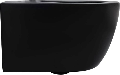 Унитаз подвесной Aquanet Rimless Cetus-BW BL-102N-WHT CETUS-BW с сиденьем Унитаз подвесной Aquanet Rimless Cetus-BW BL-102N-WHT CETUS-BW с сиденьем