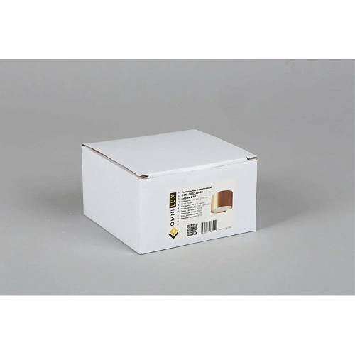 Светильник встраиваемый-накладной Omnilux Abano OML-103329-12 Светильник встраиваемый-накладной Omnilux Abano OML-103329-12