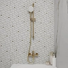 Душевая штанга IDDIS Ray (RAY70MGi17) золото матовое Душевая штанга IDDIS Ray (RAY70MGi17) золото матовое
