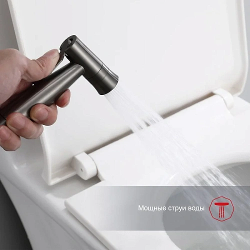 Гигиенический душ Raglo R10.52.09 встраиваемый, графит Гигиенический душ Raglo R10.52.09 встраиваемый, графит