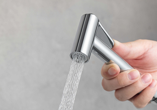 Гигиенический душ Aquatek ВЕГА AQ1019CR хром Гигиенический душ Aquatek ВЕГА AQ1019CR хром