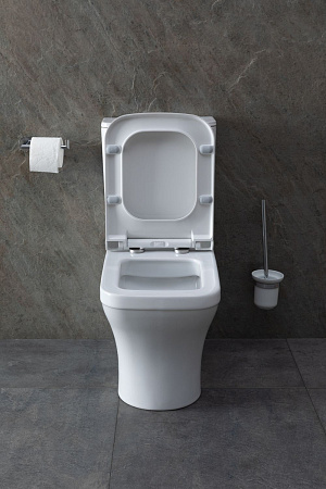 Чаша напольного унитаза Allen Brau Infinity 4.21012.20 с крышкой, белый глянец