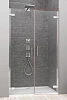 Душевая дверь Radaway Arta 386032-03-01R 50 см R