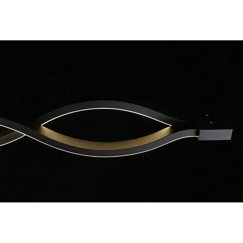 Светильник настенно-потолочный Aployt Nadayn APL.002.12.36 Светильник настенно-потолочный Aployt Nadayn APL.002.12.36