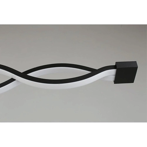 Светильник настенно-потолочный Aployt Nadayn APL.002.12.36 Светильник настенно-потолочный Aployt Nadayn APL.002.12.36