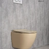 Унитаз подвесной Gid Sr2198 62210Y светло-коричневый матовый 49x36x35.5 с крышкой микролифт Унитаз подвесной Gid Sr2198 62210Y светло-коричневый матовый 49x36x35.5 с крышкой микролифт