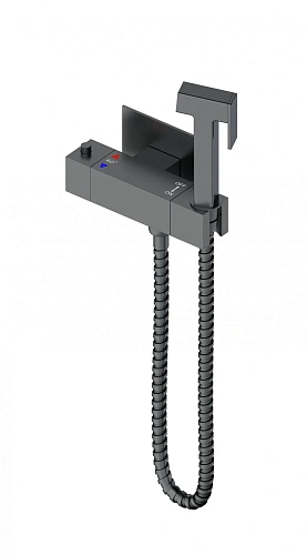 Гигиенический душ Wonzon & Woghand с термостатом, темный графит (WW-88819903-BGM) Гигиенический душ Wonzon & Woghand с термостатом, темный графит (WW-88819903-BGM)