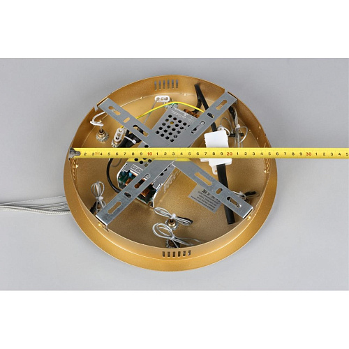 Люстра подвесная Aployt Janina APL.018.13.60 Люстра подвесная Aployt Janina APL.018.13.60