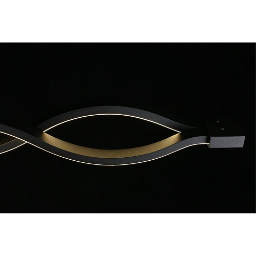 Светильник настенно-потолочный Aployt Nadayn APL.002.12.36 Светильник настенно-потолочный Aployt Nadayn APL.002.12.36