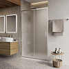 Картинка анонса товара «душевая дверь belbagno luce-bf-1-120-p-cr»
