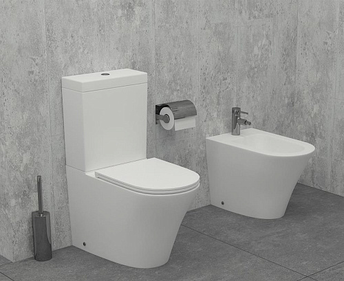 Чаша напольного унитаза Jacob Delafon Robin UJAB102-00 безободковая без сиденья Чаша напольного унитаза Jacob Delafon Robin UJAB102-00 безободковая без сиденья