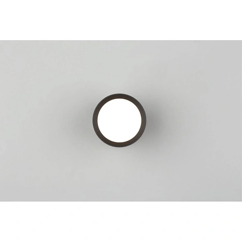 Светильник настенно-потолочный Omnilux Capurso OML-102439-05 Светильник настенно-потолочный Omnilux Capurso OML-102439-05