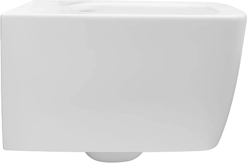 Унитаз подвесной Allen Brau Liberty 4.33007.21 с крышкой, белый матовый Унитаз подвесной Allen Brau Liberty 4.33007.21 с крышкой, белый матовый