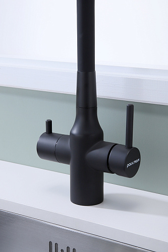 Смеситель для кухни Paulmark SALIX антрацит Sa213419-AN Смеситель для кухни Paulmark SALIX антрацит Sa213419-AN