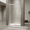 Душевая дверь RGW PA-114 1100 мм 030811411-11