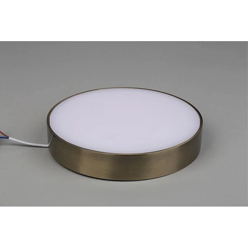 Светильник настенно-потолочный Aployt Evon APL.0114.29.24 Светильник настенно-потолочный Aployt Evon APL.0114.29.24